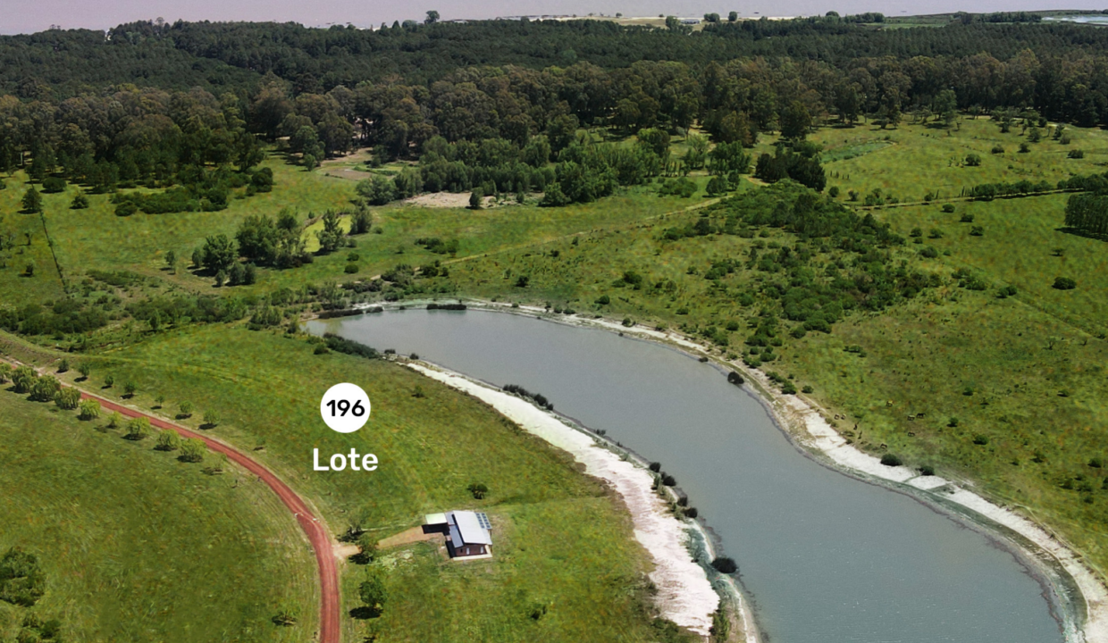 Lote 196