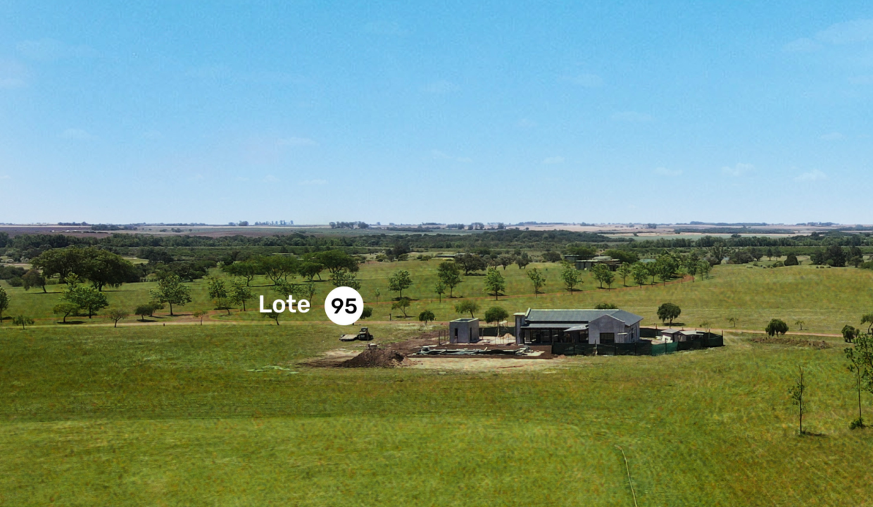 Lote 95